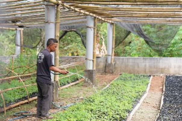 Besok! PLN Resmikan Pengembangan Ekosistem Biomassa di Tasikmalaya. (humaspln)